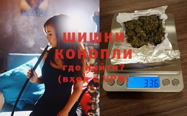 сатива Дмитров