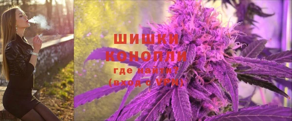 сатива Дмитров