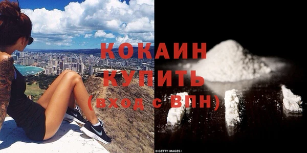 мдпв Елизово