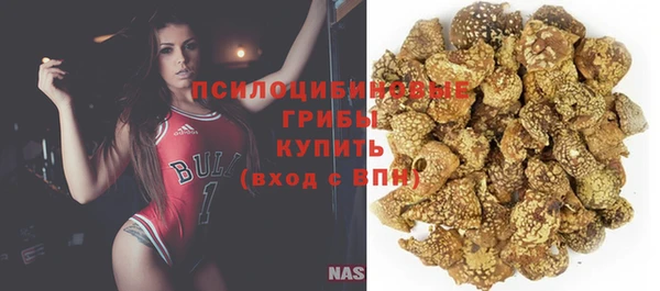 мдпв Елизово